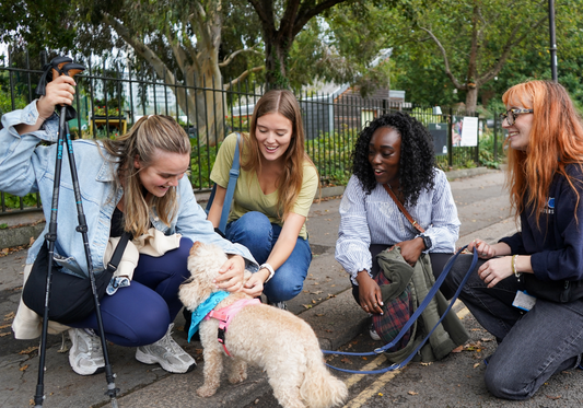 Lonely Girls Club x Battersea Dogs & Cats Home